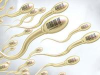 男性精子死亡是怎么造成的