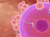 男性发生死精症时候有哪些表现呢