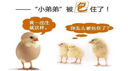 做完包皮手术多久可以爱爱呢