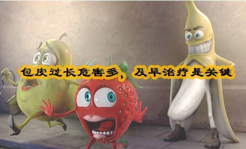 包皮手术需要多少钱