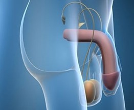 阴茎勃起障碍的治疗费用是多少