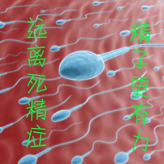 男性死精症是什么病因导致的