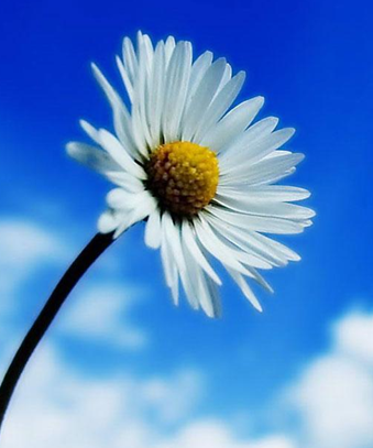 到铜川割包皮多久能好呢